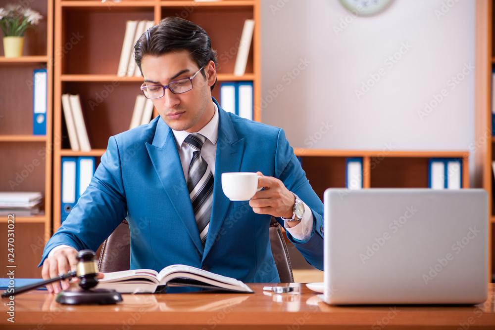 Fototapeta premium Lawyer working in the office