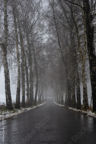Allee im Winter bei Nebel © Markus