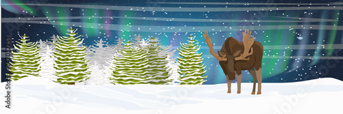 Elk in the winter spruce forest. Night. Northern lights in the sky. Wild animals of Eurasia and North America. Realistic Vector Landscape