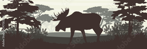 Silhouette. Elk with big horns on the background of deciduous forest. The nature of Canada, USA, Scandinavia and Europe. Realistic vector landscape.