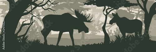 Silhouette. Elk and moose cow in the forest. Wild animals of Eurasia, Scandinavia, Canada and America. Realistic Vector Landscape