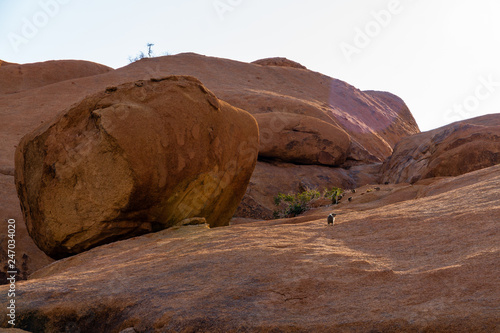 Klipschliefer in South Africa