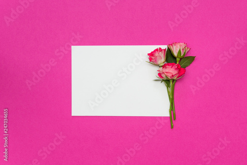 small roses and blank white card on pink background