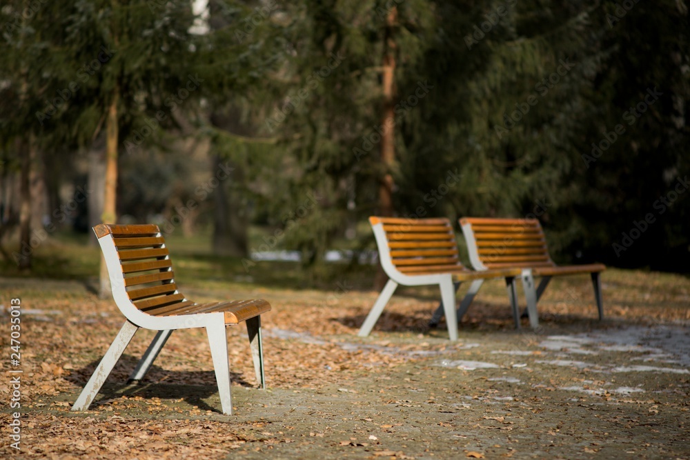 Bench in park, resting in nature background.