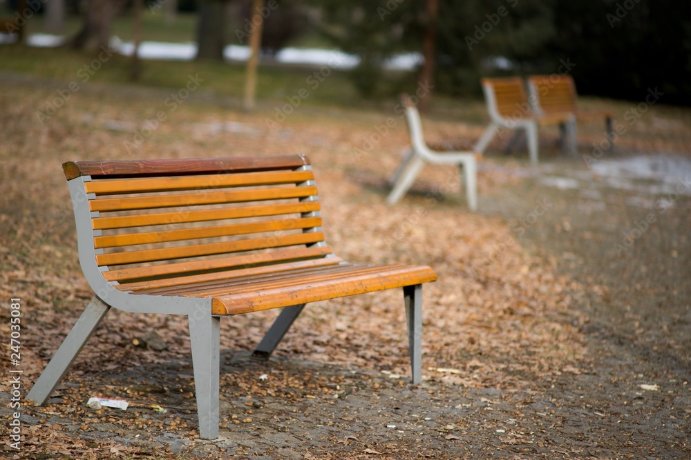 Bench in park, resting in nature background. Stock Photo | Adobe Stock