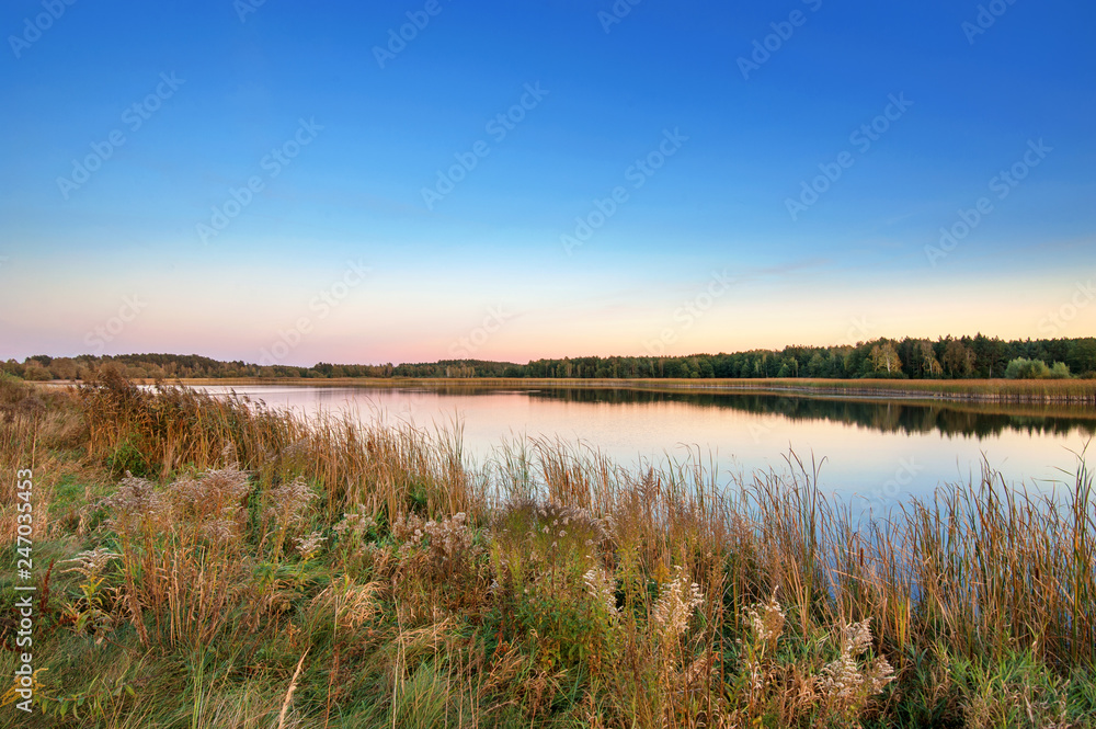 Lake at sunset in summer with vegetation on coast
