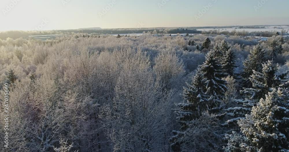 Aerial view of beautiful sunset at winter forest. Trees covered with snow and frost. Aerial view of beautiful sunset at winter forest. Trees covered with snow and frost.