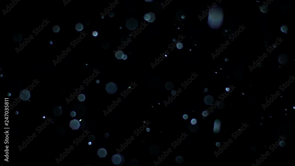 Glowing Organic Particles Loop White Non CGI Glowing Organic Particles Loop White Non CGI