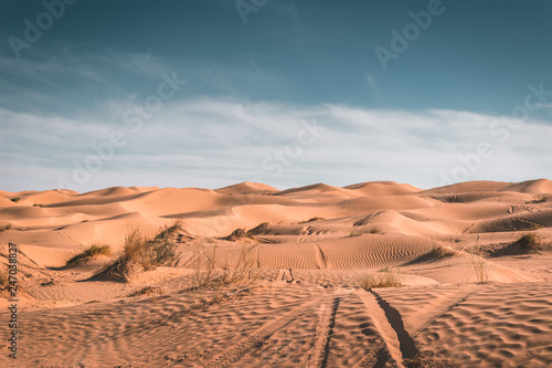 Fototapeta Naklejka Na Ścianę i Meble -  Most beautiful sunset in the Sahara Desert, sandy dunes in Tunisia