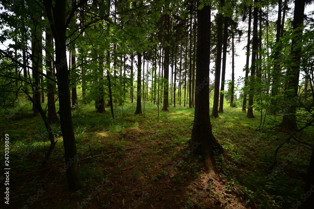 Obraz premium Landschaft Oberlausitz