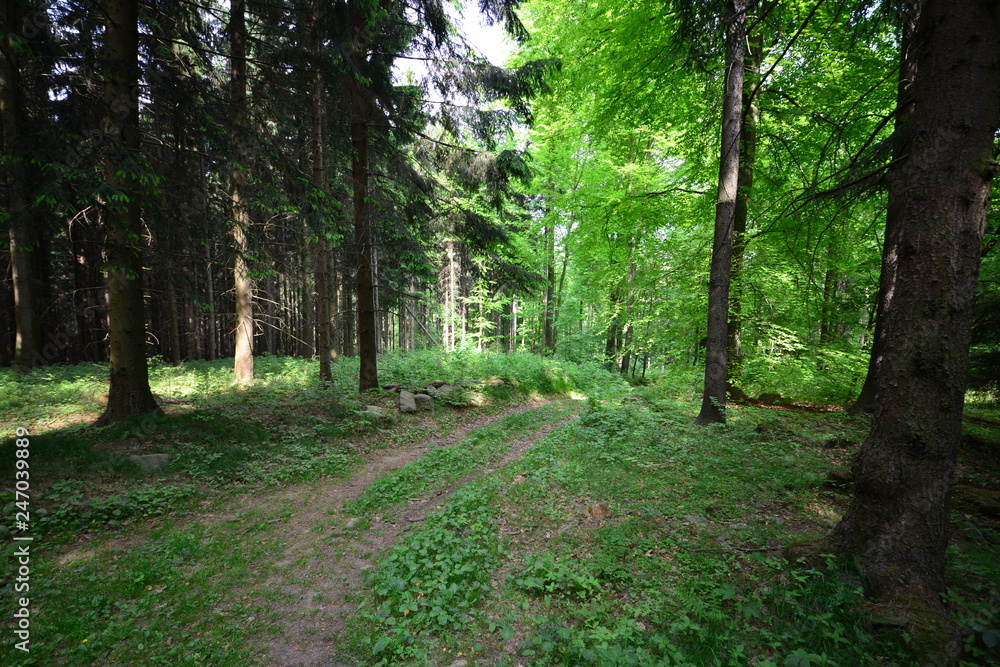 Fototapeta premium Landschaft Oberlausitz