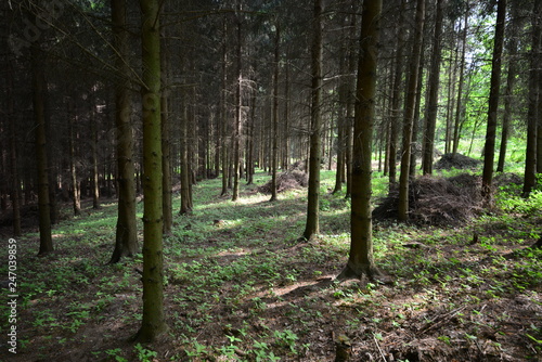 Landschaft Oberlausitz