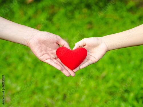 Man and woman heart shape hands hold the red heart. Couple  Love  Valentine sDay Concept.