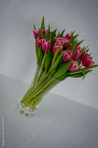 Tulpen rot weiß Vase