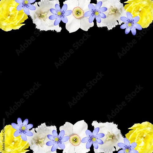 Fototapeta Naklejka Na Ścianę i Meble -  Beautiful floral background of tulips, daffodils and liverwort 