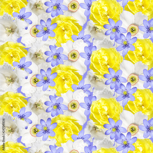 Fototapeta Naklejka Na Ścianę i Meble -  Beautiful floral background of tulips, daffodils and liverwort 