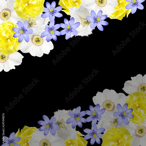 Fototapeta Naklejka Na Ścianę i Meble -  Beautiful floral background of tulips, daffodils and liverwort 