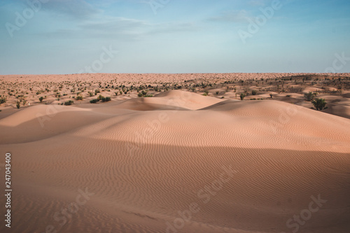 Sahara Desert of Tunisia, Grand Erg Oriental. Most beautiful dunes