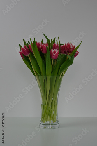 Tulpen rot weiß Vase