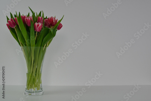 Tulpen rot weiß Vase