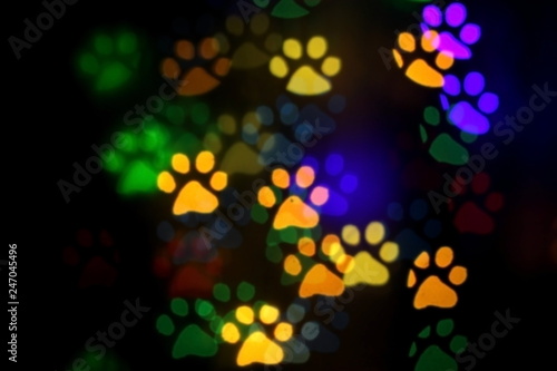 colorful bokeh in the shape of animal tracks