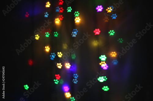 colorful bokeh in the shape of animal tracks