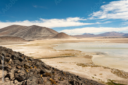 Laguna en desierto de Chile