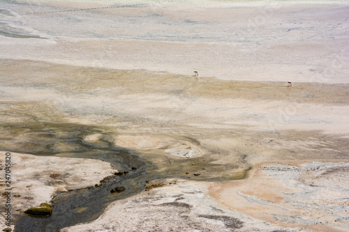 Laguna en el desierto Chile