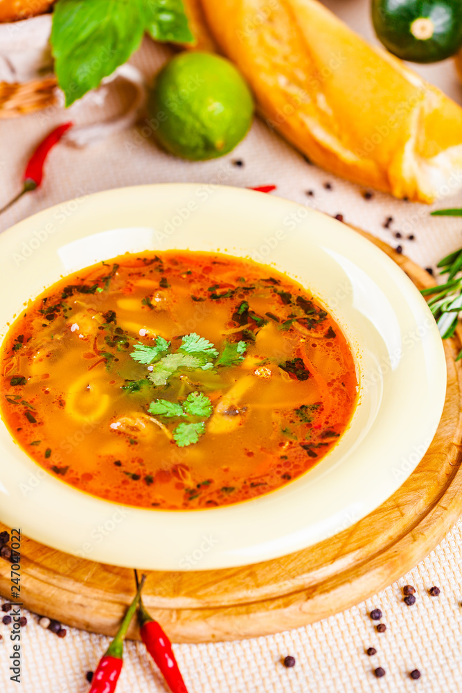 Vegetable soup with herbs and spices in white plate Vegetable soup with herbs and spices in white plate