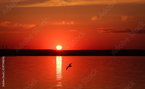 sunset on the lake