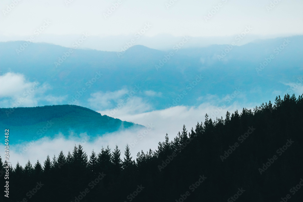 Beautiful foggy mystic mountains. Fog clouds at the pine tree mystical woods, autumn. Europe, mysterious alpine landscape.