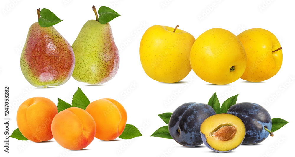 Apples, pears, apricots and plums isolated on white background