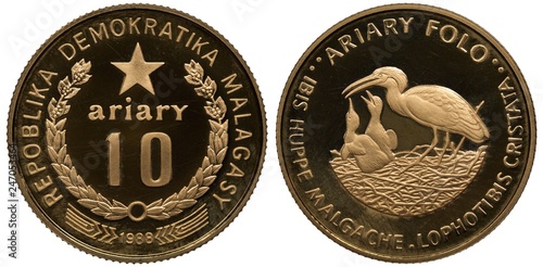 Madagascar Madagascan golden coin 10 ten ariary 1988, value within wreath, star above, Ibis feeding nestlings in nest,  photo