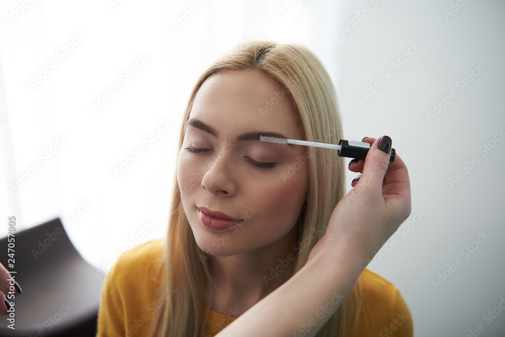 Professional makeup artist correcting lady eyebrows in visage studio Professional makeup artist correcting lady eyebrows in visage studio