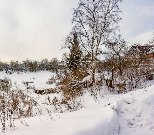 Wallpaper Mural Frosty winter day in the suburbs of St. Petersburg. Torontodigital.ca