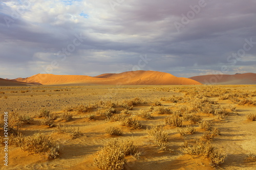 Namib-Wüste am Soussusvlei