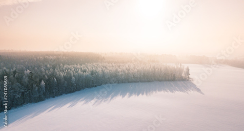 Beautiful winter scenery with sunrise over the tree tops of pine forest. Sunlight shines through the mist creating stunning aerial panorama. Moody winter day's landscape with warm sunlight. 