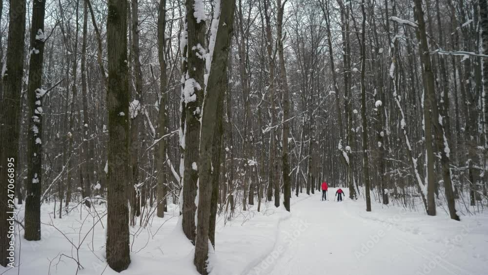 Mom and son skiing in the winter forest. Family sport. Healthy family. 4K Mom and son skiing in the winter forest. Family sport. Healthy family. 4K