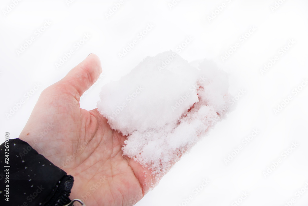 Female hand holding melting white snow in winter on white background. Cold weather Female hand holding melting white snow in winter on white background. Cold weather