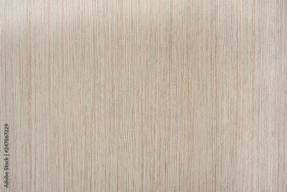 Wood abstract background texture. Beige seamless pattern Wood abstract background texture. Beige seamless pattern