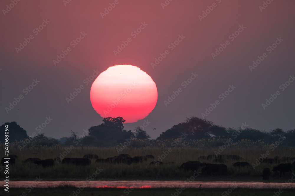Sunset over the Chobe River, Botswana Sunset over the Chobe River, Botswana