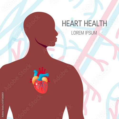 Heart inside the male human body, vector