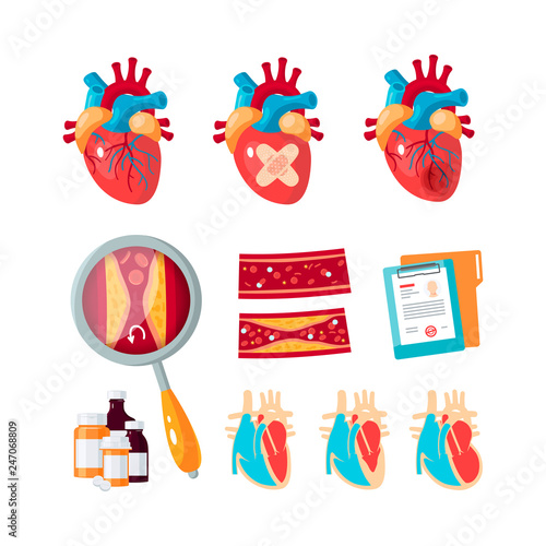 Vector set of cardiology icons in flat style