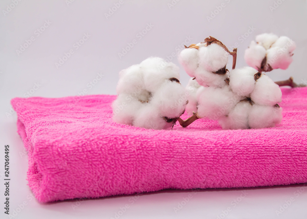 white cotton flowers on bright pink cotton towel close up white cotton flowers on bright pink cotton towel close up