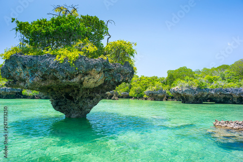 stone rock with trees in lagoon in Zanzibar