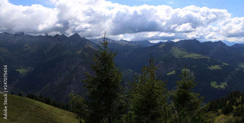 Panorama of mountains with trees in foreground