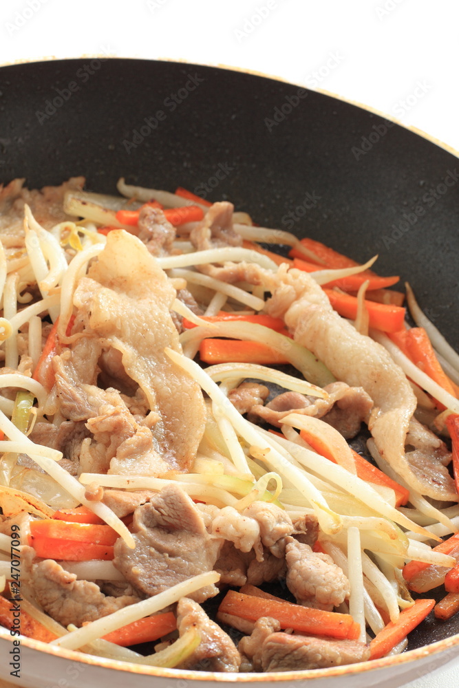Chinese food, pork and soy sprout stir fried Chinese food, pork and soy sprout stir fried