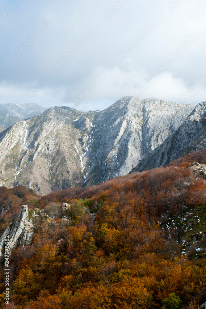 Mountains with beech forests in the north of Spain.