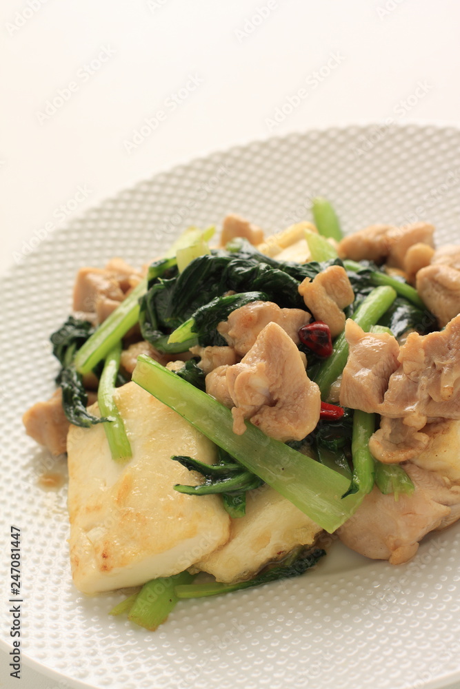 Chinese food, tofu and pork stir fried Chinese food, tofu and pork stir fried