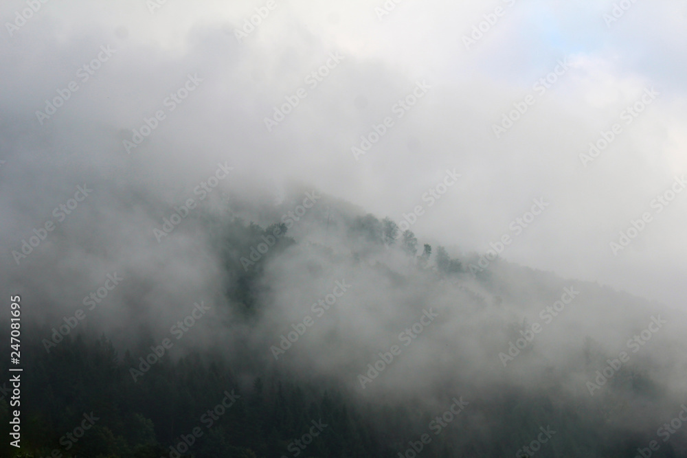 Mountains of Carpathians are in morning fog. Ukraine